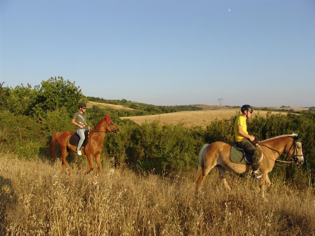 Agriturismo Eco-Bio Belmonte Vacanze モンタイオーネ エクステリア 写真