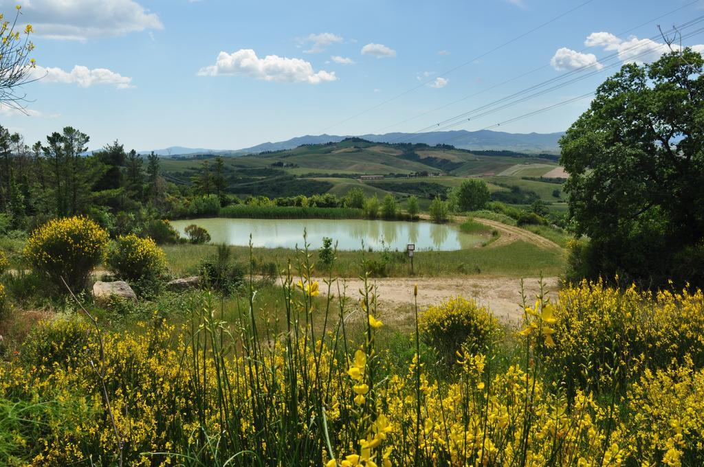 Agriturismo Eco-Bio Belmonte Vacanze モンタイオーネ エクステリア 写真