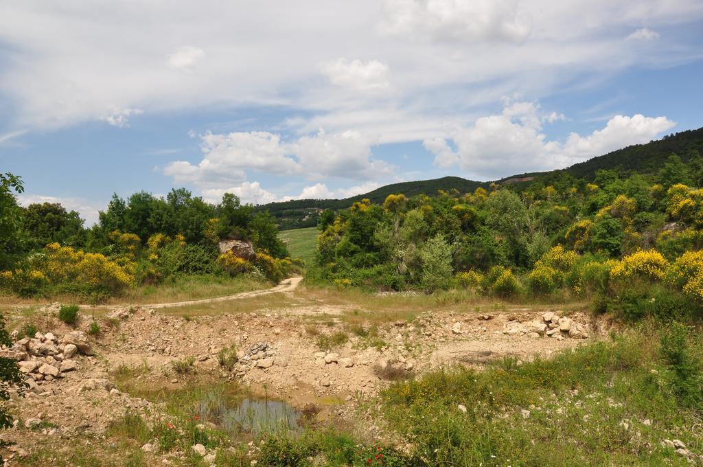 Agriturismo Eco-Bio Belmonte Vacanze モンタイオーネ エクステリア 写真