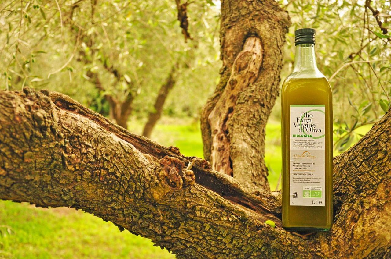 Agriturismo Eco-Bio Belmonte Vacanze モンタイオーネ エクステリア 写真