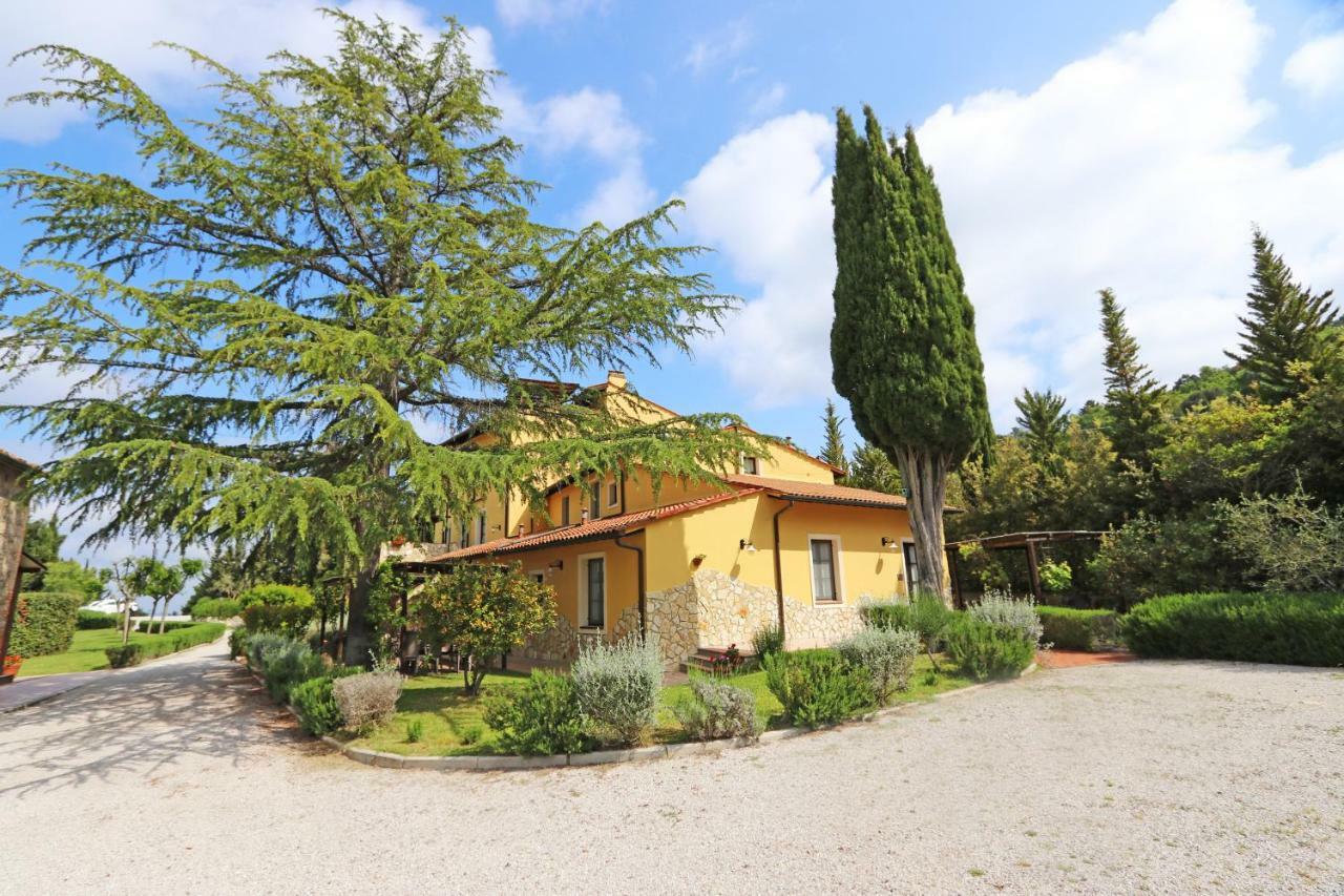 Agriturismo Eco-Bio Belmonte Vacanze モンタイオーネ エクステリア 写真