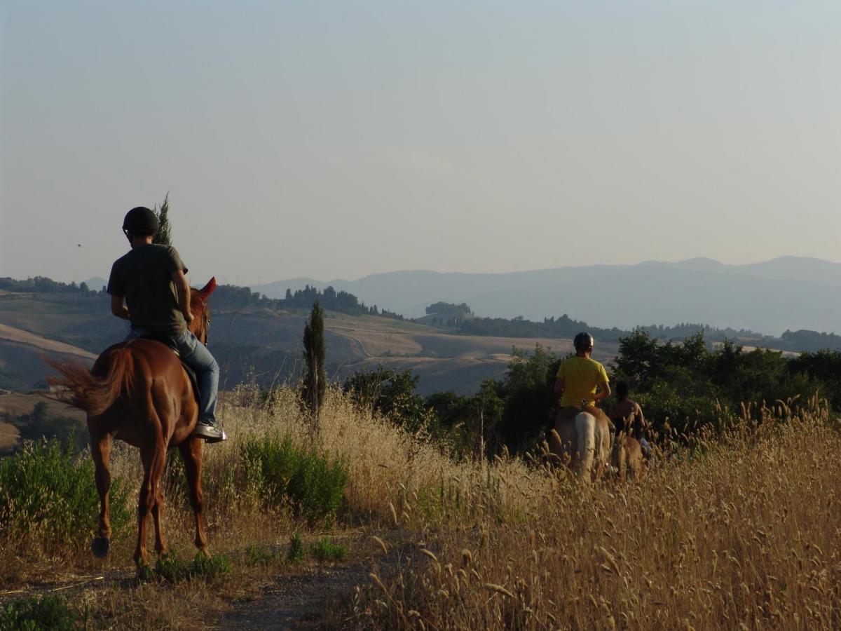 Agriturismo Eco-Bio Belmonte Vacanze モンタイオーネ エクステリア 写真